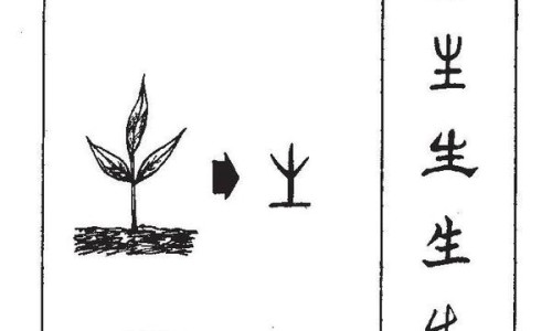 皮肤过敏症状图片大全真实-皮肤过敏初期症状图片大全-专业皮肤过敏前期症状有哪些平台-皮肤过敏图片和症状真实图片